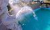 Thumbnail 23