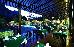 Thumbnail 53