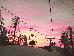 Thumbnail 62