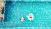 Thumbnail 41