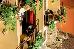 Thumbnail 26