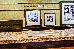 Thumbnail 22