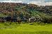 Thumbnail 233