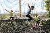 Thumbnail 291