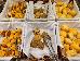 Thumbnail 151