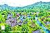 Thumbnail 14