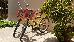 Thumbnail 37