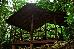 Rio Celeste Hideaway photo 2