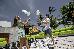 Thumbnail 290
