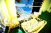 Thumbnail 50