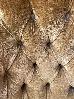 Thumbnail 45