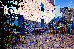 Thumbnail 38