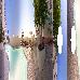 Thumbnail 131