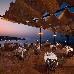 Thumbnail 171