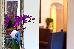 Thumbnail 19