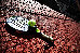 Thumbnail 25