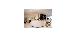 Thumbnail 22