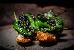 Thumbnail 81