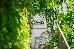 Thumbnail 22