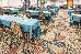 Thumbnail 65
