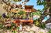 Thumbnail 33