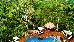 Thumbnail 25