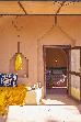 Thumbnail 48