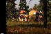 Chitvan Jungle Lodge photo 4