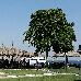 Thumbnail 26