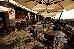 Thumbnail 21
