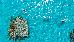 Thumbnail 36