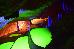 Thumbnail 19