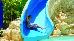 Thumbnail 41