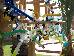 Thumbnail 299
