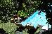 Thumbnail 56