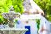 Thumbnail 29