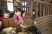 Thumbnail 27
