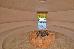 Thumbnail 446