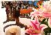 Thumbnail 70