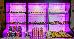 Thumbnail 889