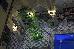 Thumbnail 25