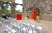 Thumbnail 195