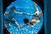 Thumbnail 161