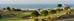 Thumbnail 605