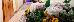 Thumbnail 36