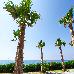 Thumbnail 53