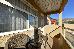 Thumbnail 98