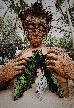 Thumbnail 20