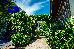Thumbnail 34