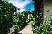 Thumbnail 36